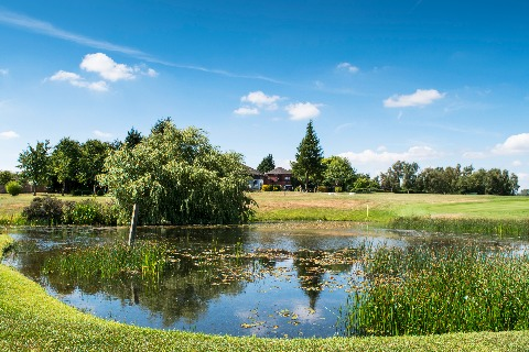 Delwedd dan sylw